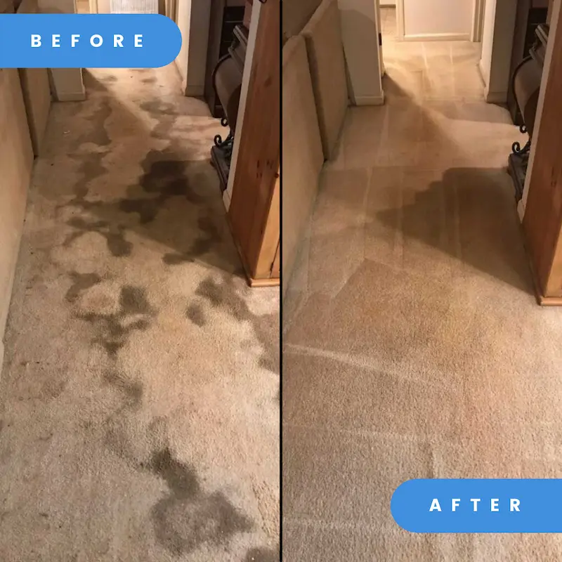 professional carpet cleaning of badly stained and water damaged carpet - before & after